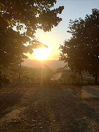 Pôr do sol sobre a propriedade com vista exterior